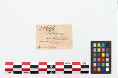 Etikett zu Bronzekugelkopfnadel (NHMW-PRAE-025666)